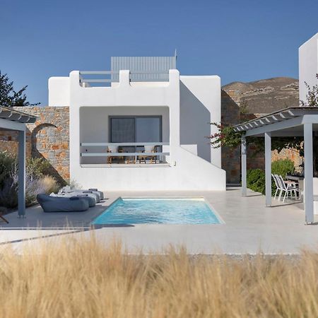 Villa Dione, Private Pool & Seaview By Naxos Dunes Kastrákion Екстериор снимка